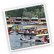 golden triangle tour with kashmir
