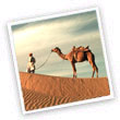 rajasthan holiday travel package